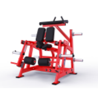 Appareil de musculation commercial réglable en acier pour abdominaux et bras, idéal pour la salle de sport intérieure