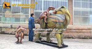 Modelo Animado de Dinosaurio <span class=keywords><strong>Deinonychus</strong></span> de MYDINO CAD0062 para Parque de Dinosaurios en Venta - Product Image 6