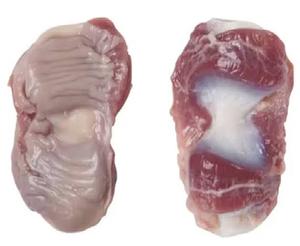 Premium BQF Frozen Duck Gizzard Grade A Bulk Wholesale 24 Months Shelf Life Hotel Restaurant Catering Global Importers - Product Image 3