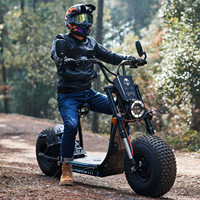 Fournisseur en gros Prix bas Original X2 Double moteur 3000W 45km/h Scooter électrique puissant pour adultes avec cadre en acier haute résistance