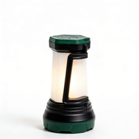 Lanterna da Campeggio LED Ricaricabile con Faretto, Lampada d'Emergenza Portatile per Escursioni all'Aperto, Power Bank, Alto CRI 90