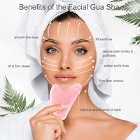 Rouleau de jade anti-vieillissement, ensemble de thérapie du visage, accessoire de Massage