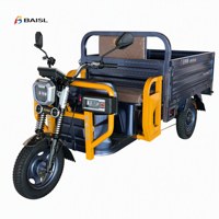 Tricycle électrique robuste à benne basculante, vidange à une touche, phare LED pour la collecte des déchets, véhicule agricole vert, pompe hydraulique électrique