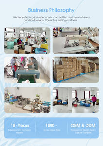 Aslan dekorasyon Terry polar astar balerin terlik ile kadınlar için toptan yumuşak bale tarzı terlik - Product Image 4