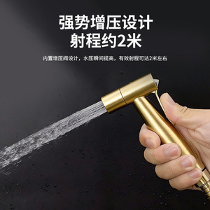 Austenite Bidet Faucet Brushed Gold Stainless Steel Single Hole Multi Function With All Copper Valve Core - Product Image 2