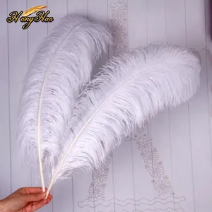 Wholesale White Ostrich Feathers For Wedding Accessories Cheap Decor Plume Large Ostrich Feather Wings Carnival