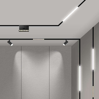 Rail lumineux magnétique moderne en aluminium LED 10W 20W 30W 40W, système 48V DC, éclairage de bureau