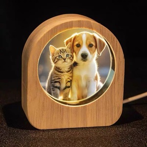 Sistema Solare 3D in Cristallo con Incisione 2D, Figura Anime Pokémon Luminosa, Ornamento Rotondo in Cristallo con Base in Legno LED, Luce Notturna - Product Image 5