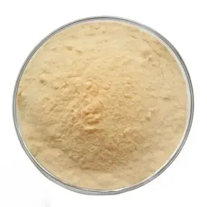 Sprüh getrocknetes Papaya-Extrakt pulver mit Papain-Enzympulver-Extrakt Instant-Papaya-Pulver