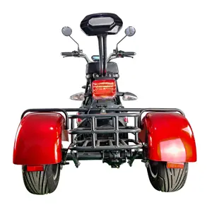 eHoodax 2022 customize 2000w lithium battery 3 wheel citycoco adult 1500w tricycle fashion Leisure and entertainment tricycle