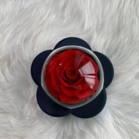 Lovebay Valentines Moeders Dag Geschenken Eeuwige Rozen Met Ketting Langdurige Echt Bewaarde Rozen Sieraden Doos Met Lade