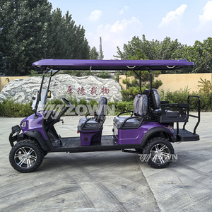 Carrito de Golf Premium para 6 Personas, con Neumáticos para Lodo de Alta Resistencia, Parabrisas Plegable, Ideal para Parques Ecológicos y Servicios de Turismo para Grupos Grandes - Product Image 1