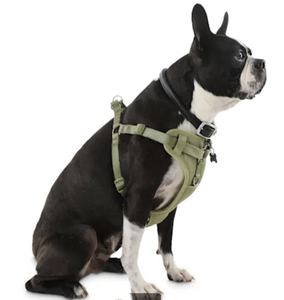 <span class=keywords><strong>Harness</strong></span> Anjing Mewah Anti Air Bahan Nylon Berkualitas Tinggi, Vest Empuk Tahan Lama dengan Desain Anti Tarik yang Dapat Disesuaikan - Product Image 3