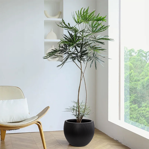 Vase de sol contemporain en plastique HDPE Fleid - Léger, à large ouverture, incassable, durable et résistant à la décoloration, écologique et réutilisable - Product Image 3