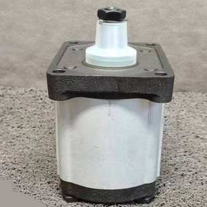Bomba de Engranajes Externos Serie PGE101, PGE101-100, PGE101-315, Flujo Estable, Diseño Compacto, Bomba Hidráulica Industrial - Product Image 5