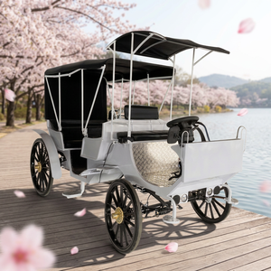Carruaje eléctrico retro de estilo real, elegante vagón de cuatro ruedas para visitas turísticas en lugares escénicos y ocasiones especiales - Product Image 1