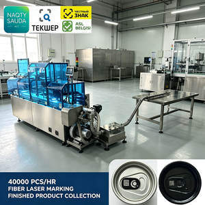 Máquina de Marcado Láser de Fibra para Aluminio Industrial con Apertura Fácil, Codificación GS1 DataMatrix para Cumplimiento de Chestny Znak ASL BELGISI - Product Image 4