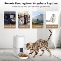 Distributeur automatique de nourriture pour chat avec caméra, contrôle par application WiFi 2.4G, distributeur de nourriture pour animaux de compagnie avec vidéo, distributeur programmé de 4L avec audio bidirectionnel