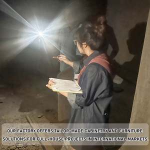 Modern Light Luxury Custom Kitchen Cabinet with Stainless Steel Stove Integration Whole House Wall Cabinet Designkitchen Cabinet - Product Image 4