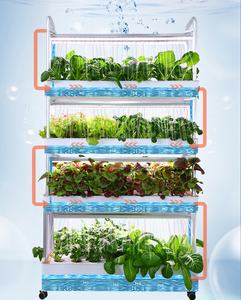 Maison intelligente lumière led <span class=keywords><strong>mini</strong></span> serre agriculture cultiver des systèmes hydroponiques herbe légumes <span class=keywords><strong>kit</strong></span> systèmes hydroponiques d'intérieur - Product Image 5