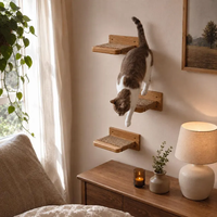 Étagère murale pour chat, étagère murale en bois pour chat, perchoir mural pour chat, marchepied mural pour chat avec sisal