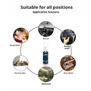 Ambientador en Aerosol Personalizado con Aroma a Naranja, Moderno, para Coche y Hogar, Eliminador de Olores de Humo, Ecológico, Marca Privada - Product Image 4