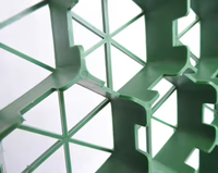 Grille de gravier d'allée en plastique HDPE pour la protection de grille de plantation d'herbe et de gazon de paysage de jardin