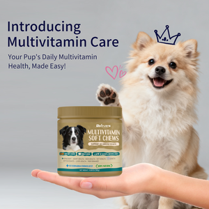 أقراص متعددة الفيتامينات للكلاب والقطط والحيوانات الأليفة لدعم صحة الجهاز الهضمي والدعم الموسمي للصحة، مكملات فيتامينات للعناية بصحة الحيوانات الأليفة (تصنيع حسب الطلب/تصميم حسب الطلب) - Product Image 4