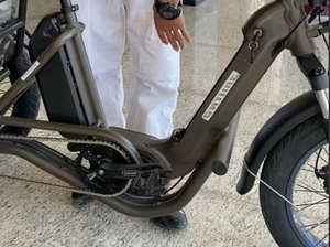 RaiderTrike-C202 20 pouces électrique Ebike <span class=keywords><strong>750W</strong></span> moteur gros pneu 3 roues E vélo Tricycle adulte Cargo vélo électrique avec grand panier - Product Image 2