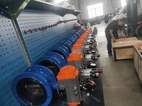L'usine fournit une vanne papillon à engrenage à vis sans fin à double bride DN50-DN1200 avec une expansion flexible