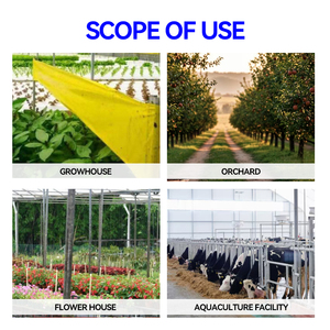 कीमत सस्ती पर्यावरण के अनुकूल दोहरी पक्षीय गोंद पीले चिपचिपा ट्रैप रोल प्रकार है, कृषि के लिए फ्लाई ट्रैप रोल प्रकार, कृषि के लिए फ्लाई ट्रैप है। - Product Image 2