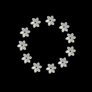 6mm bianco conchiglia perla <span class=keywords><strong>fiore</strong></span> orecchino perline corallo colorato corallo e osso per la madre di perla gioielli gioielli decorazione vestiti - Product Image 4