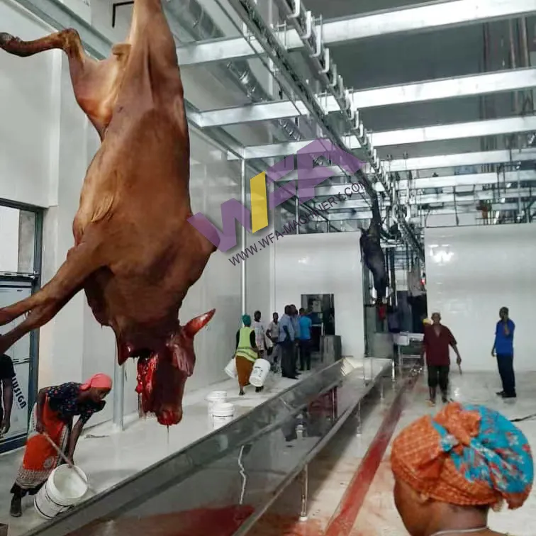 Set lengkap rumah pemotongan sapi Halal, peralatan rumah penyembur daging sapi untuk tanaman Abattoir