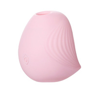 Klitoris-Saugvibrator für Frauen Saugstil-Vibration Wasserdicht USB-Aufladbar 60dB Leise für Vorspiel Stimmungsanregung