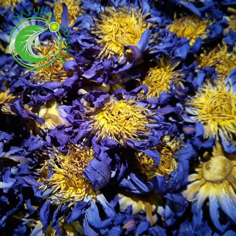 Сушеный голубой цветок лотоса Nelumbo Nucifera, египетская водная Лилия