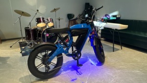 HXZ <strong>Foldable</strong> <strong>Electric</strong> Off-Road <strong>Motorcycle</strong> 20 Inch Lightweight Portable 48V 61-80km/h for Urban Daily Riding - Product Image 2