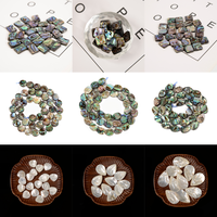 Perle en coquille d'ormeau naturel de 10mm en gros avec trou perles de pierre en vrac pour la fabrication de bijoux bracelet perlé