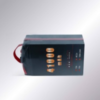 Заводская Настройка 6S/12S/14S 41000mAh 41ah низкотемпературный твердотельный Аккумулятор для Evtol летательного аппарата пассажирский Дрон