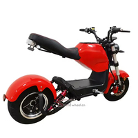 Sıcak Satış Yüksek Hızlı EEC Uzun Ömürlü Güç E-Scooter Elektrikli Motosiklet 1500W Yetişkin Scooter Elektrikli Moped