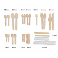 Ensemble de couverts jetables en bois de bouleau biodégradable, ustensiles portables avec couteau, fourchette, cuillère, serviette et sel, application multi-scènes