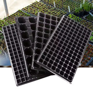 플라스틱 블리스터 자동 열성형 기계 플라스틱 묘목 트레이 채소 발아 트레이 제조 기계 - Product Image 5