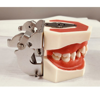 Fil de ligature et cire rouge pour modèle de pratique orthodontique - Outil de formation en compétences dentaires