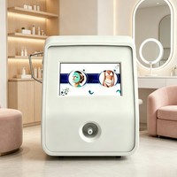 Appareil portable anti-âge pour le rajeunissement de la peau, machine thermique fractionnée pour le resserrement cutané