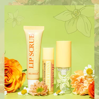 Nouveau modèle 2026 : Kit de maquillage personnalisé exfoliant pour les lèvres pour filles – Huile et baume à lèvres en gros pour le soin des lèvres
