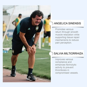 Parche Herbal Chino para el Cuidado <span class=keywords><strong>de</strong></span> las Articulaciones, Parche Calmante para el Malestar Corporal en <span class=keywords><strong>Rodilla</strong></span>, Espalda y Hombros, Adhesivo Portátil para el Cuidado Corporal - Product Image 4