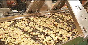 220 V Handels Knoblauch-Ganzbel-Zerkleinerer Maschine Glühbirne-Schälmaschine gewerbe Knoblauch- und Ingwer-Schällmaschine Preis - Product Image 4