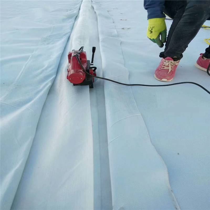 Low Price Environmental Protection Geotextile Membrane