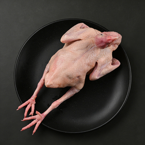 Pigeon entier enrichi en sélénium naturel, viande de volaille très nutritive pour la maison et la restauration - Product Image 2