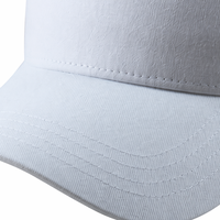 Casquette de baseball structurée 5 panneaux en sergé premium, style vintage sportif, respirante, séchage rapide, streetwear d'extérieur, 100% coton, logo personnalisé