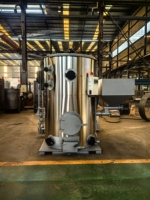 Petit générateur de vapeur vertical à combustible solide, alimenté au charbon et aux granulés de biomasse, machine à vapeur de 1000 kg/h pour distillerie